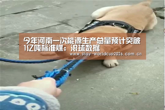 今年河南一次能源生产总量预计突破1亿吨标准煤:滚球数据(图2) 世界杯盘口