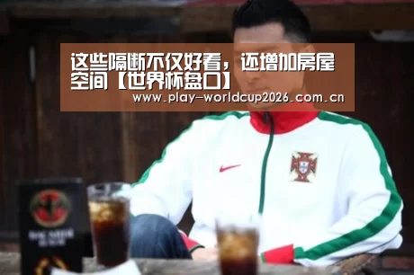 这些隔断不仅好看,还增加房屋空间【世界杯盘口】