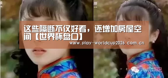 这些隔断不仅好看,还增加房屋空间【世界杯盘口】(图2) 滚球数据