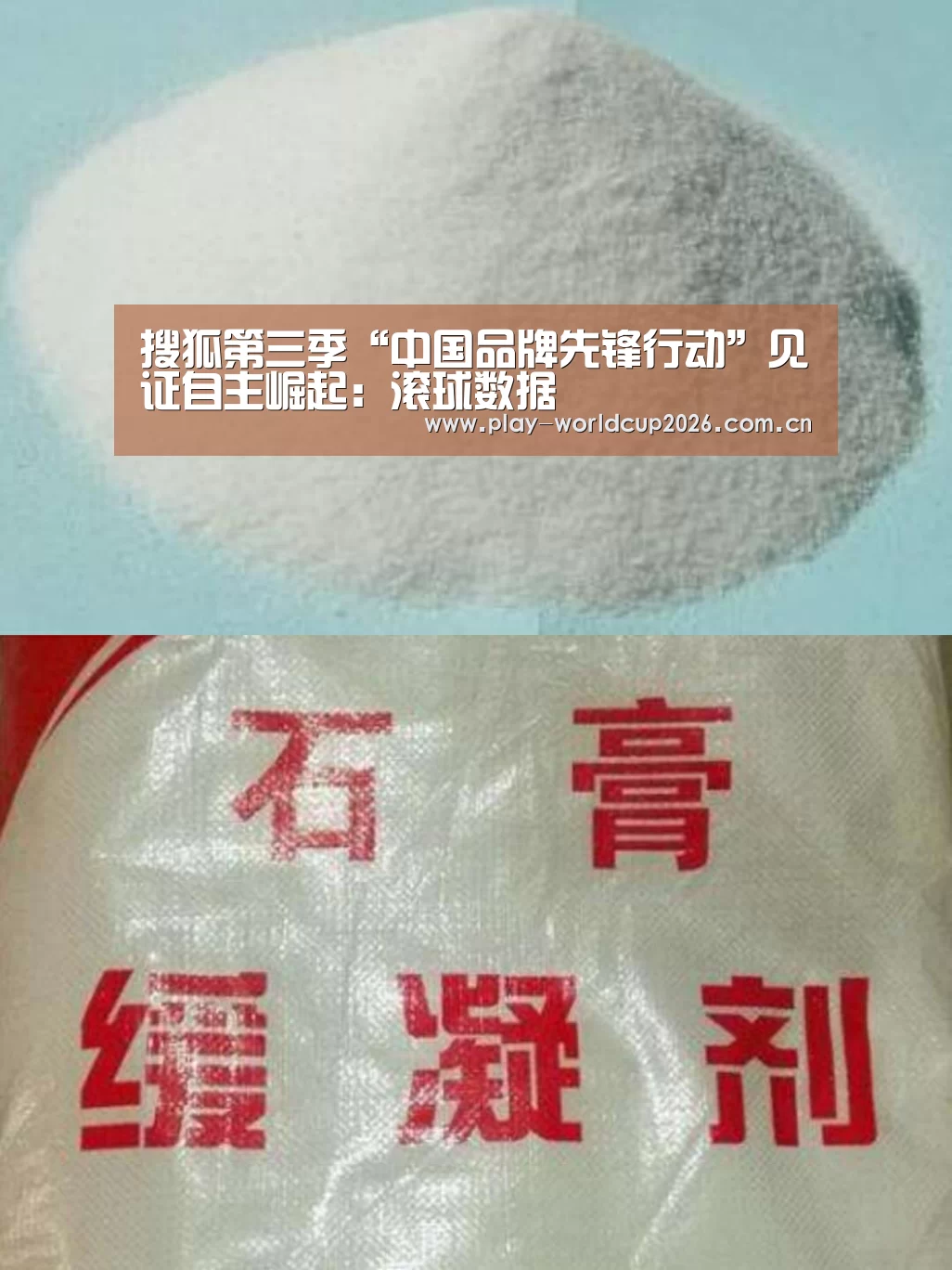 搜狐第三季“中国品牌先锋行动”见证自主崛起:滚球数据(图2) 世界杯盘口