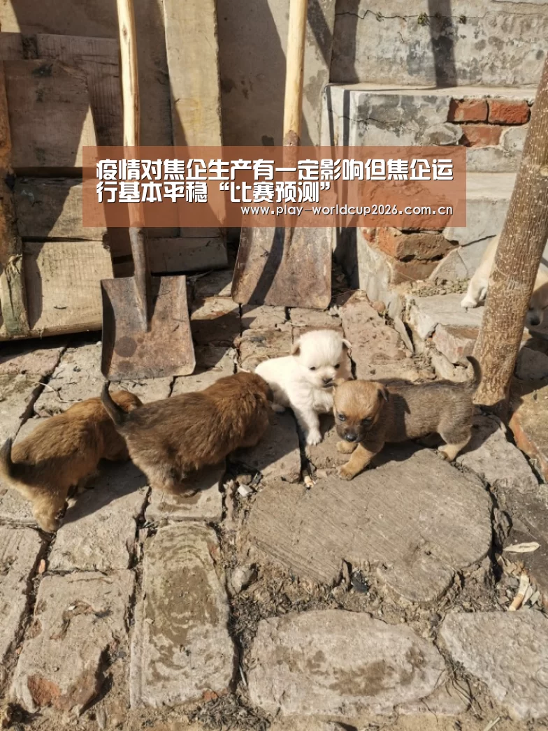疫情对焦企生产有一定影响但焦企运行基本平稳“比赛预测”(图1) 比赛预测