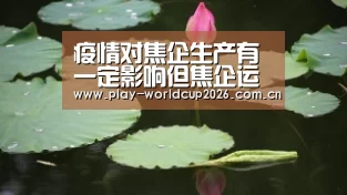 疫情对焦企生产有一定影响但焦企运行基本平稳“比赛预测”(图3) 滚球数据
