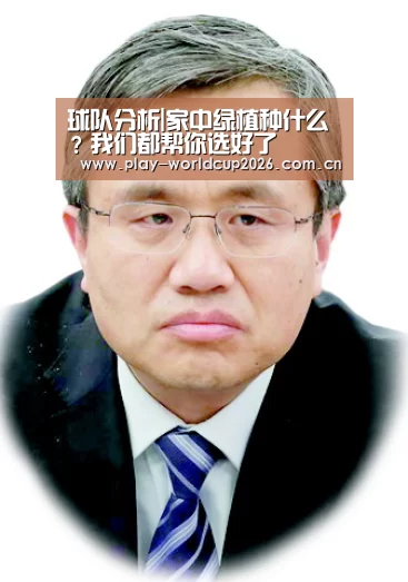 球队分析|家中绿植种什么?我们都帮你选好了(图2) 球队分析