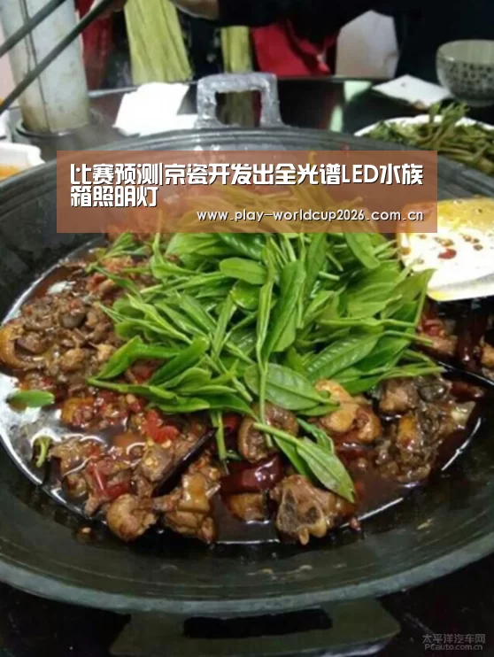 比赛预测|京瓷开发出全光谱LED水族箱照明灯(图1) 球队分析