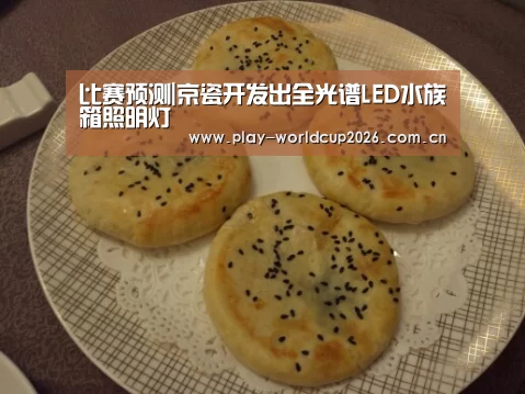 比赛预测|京瓷开发出全光谱LED水族箱照明灯(图3) 球队分析