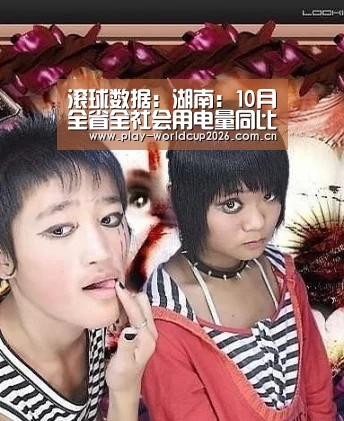 滚球数据:湖南:10月全省全社会用电量同比增长8.4%(图1) 球队分析