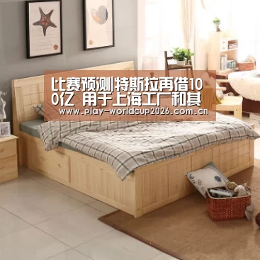 比赛预测|特斯拉再借100亿 用于上海工厂和其他业务(图3) 滚球数据