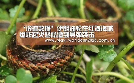 ‘滚球数据’伊朗油轮在红海海域爆炸起火疑似遭到导弹袭击(图3) 比赛预测