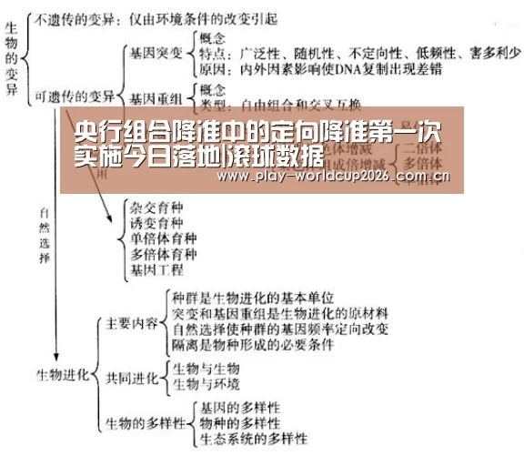央行组合降准中的定向降准第一次实施今日落地|滚球数据(图1) 世界杯盘口