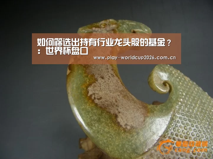 如何筛选出持有行业龙头股的基金?:世界杯盘口(图2) 滚球数据