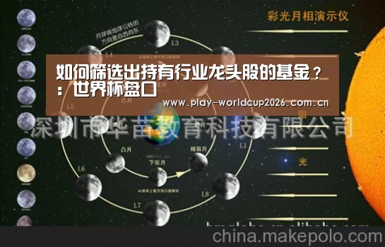 如何筛选出持有行业龙头股的基金?:世界杯盘口(图3) 滚球数据
