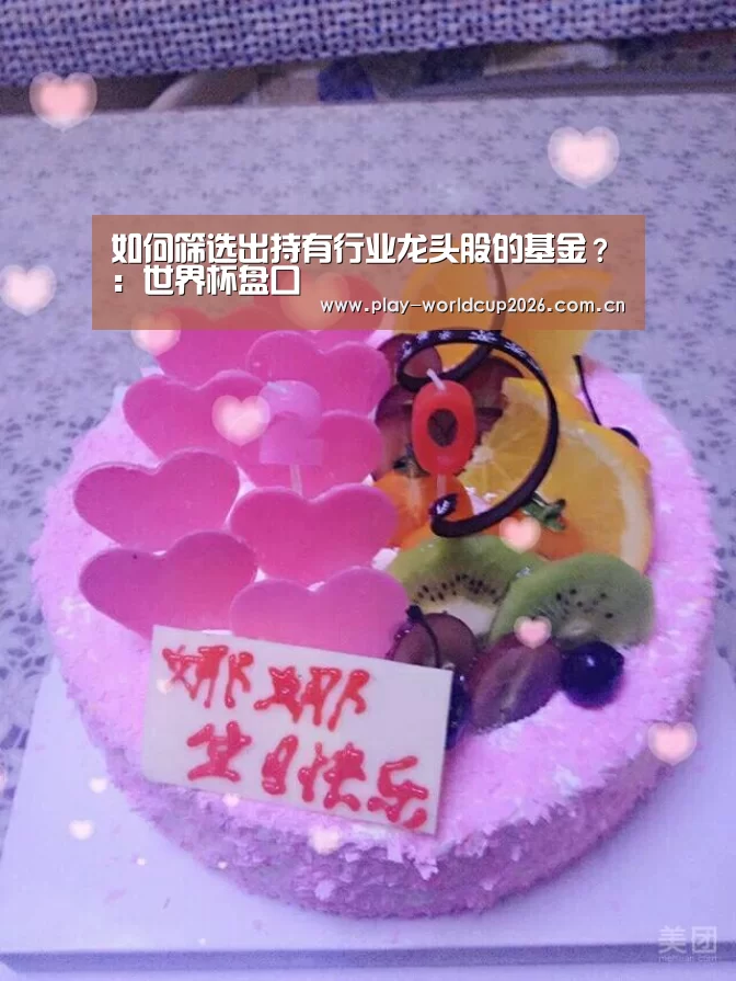 如何筛选出持有行业龙头股的基金?:世界杯盘口(图4) 比赛预测