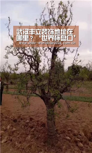 武汉丰立装饰地址在哪里?‘世界杯盘口’(图2) 比赛预测