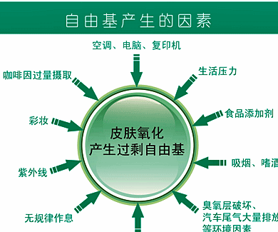 世界杯盘口_吉利博瑞GE正式上市 售价13.68—19.98万元