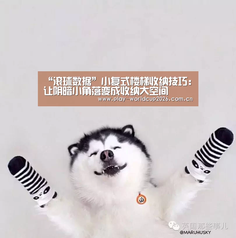 “滚球数据”小复式楼梯收纳技巧:让阴暗小角落变成收纳大空间(图1) 世界杯盘口