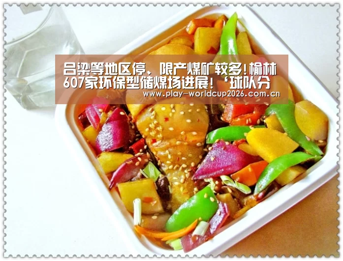 吕梁等地区停、限产煤矿较多!榆林607家环保型储煤场进展!‘球队分析’(图2) 滚球数据