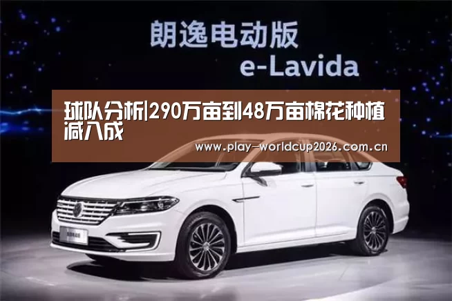 球队分析|290万亩到48万亩棉花种植减八成(图1) 滚球数据